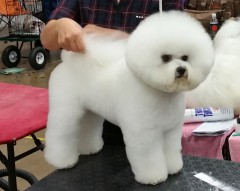 CooperShoreline20141206_145939c