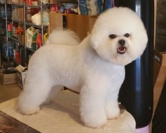 DD_2yrs20151009_103707c