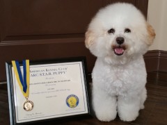 Emma20151011_083917crw