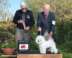 WillsDelSurBOB031917-159cer