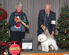 WillsShorelineBOB121016-154ce1600