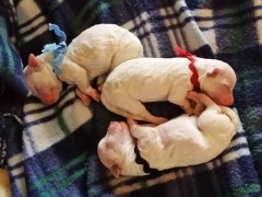 day1_20150530_140532